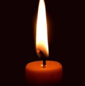 Meet your Posher, Bianca